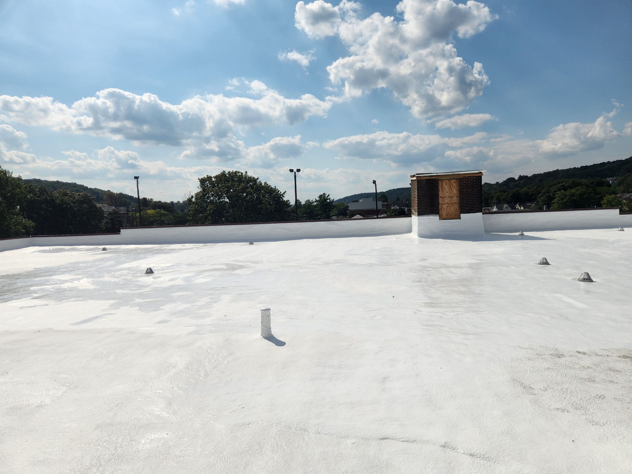 Commercial Roofing Repair and Replacement: What to Look Out For